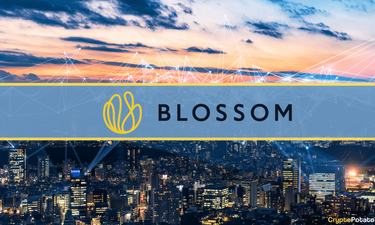 Vc-firm-blossom-capital-raises-$432m-to-invest-in-the-cryptocurrency-ecosystem