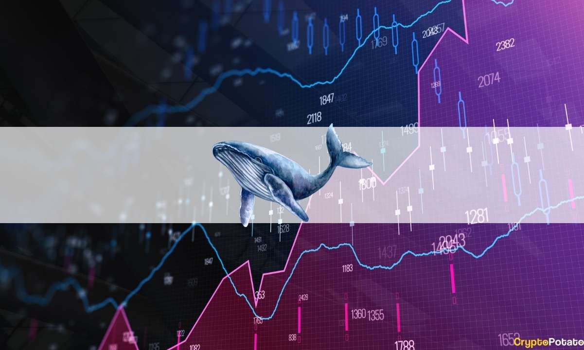 Third-largest-whale-now-holds-more-bitcoin-than-microstrategy:-adds-$18m-of-btc-amid-crash
