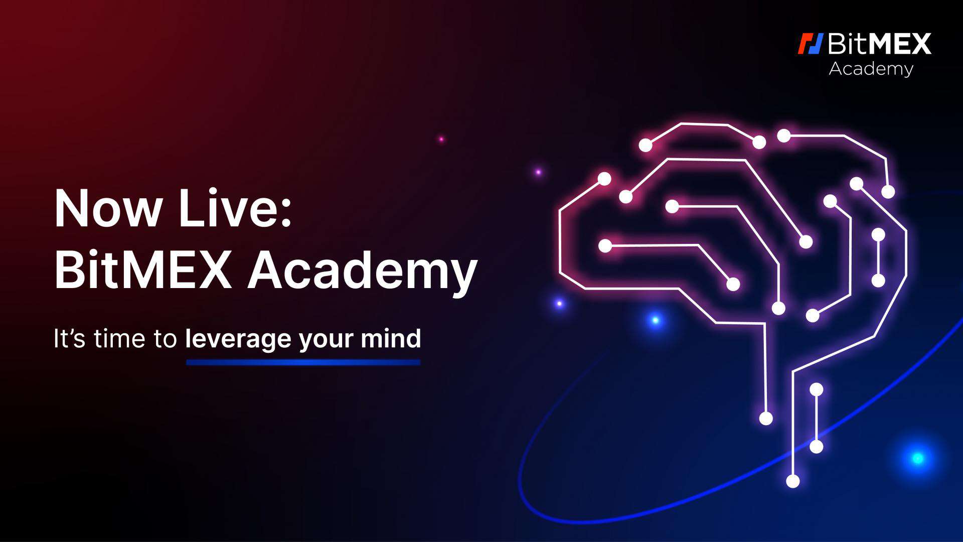 Bitmex-academy-launches-with-vision-to-raise-the-bar-for-crypto-education