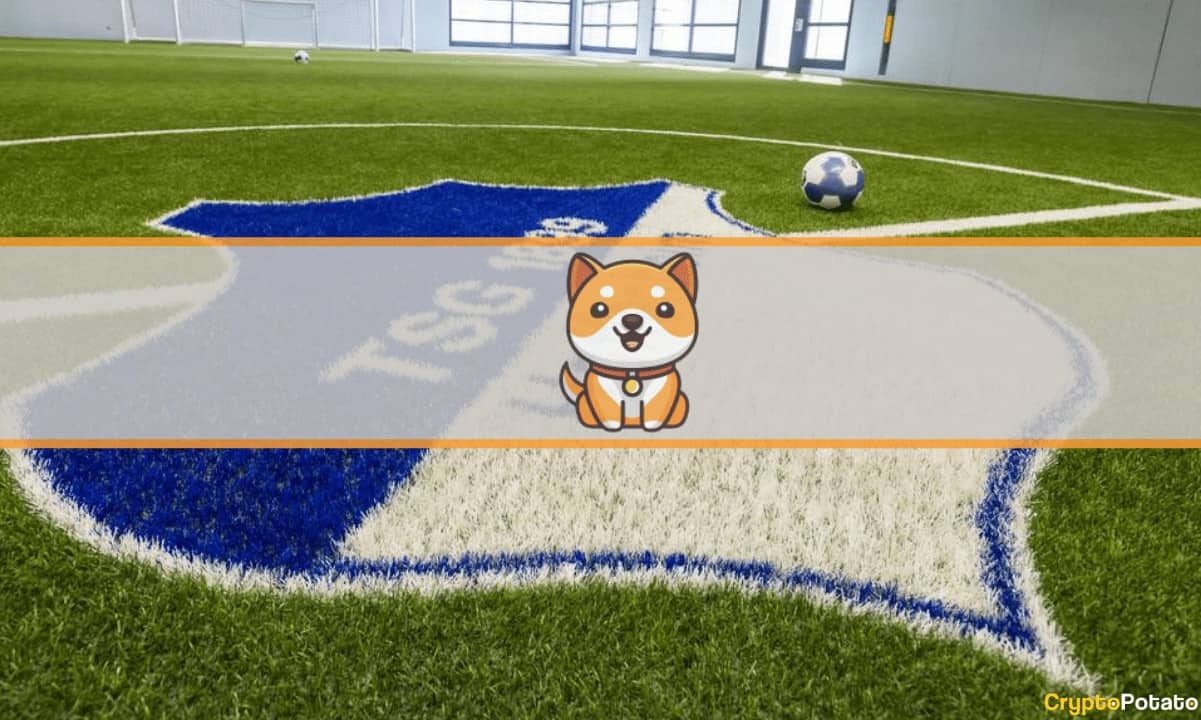 German-soccer-club-tsg-hoffenheim-partners-with-baby-doge