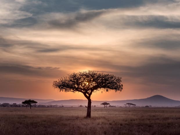 Growing-the-bitcoin-development-ecosystem-in-africa