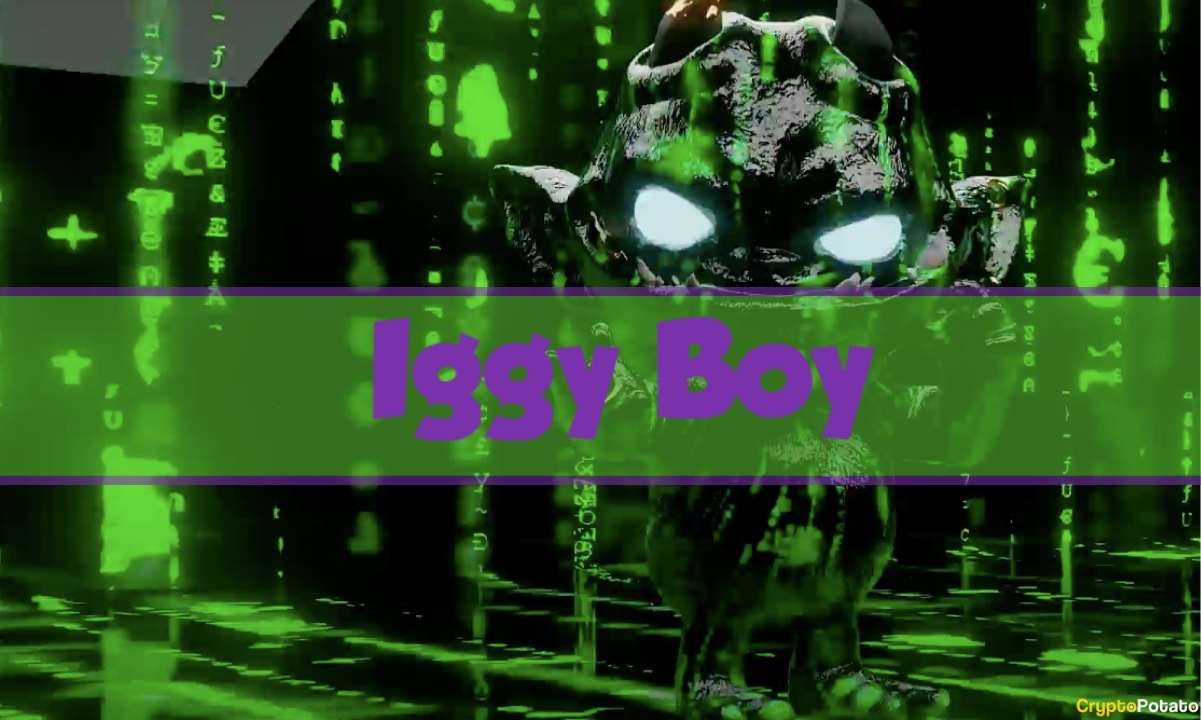 Iggyboy-nfts:-3d-non-fungible-tokens-coming-to-the-metaverse