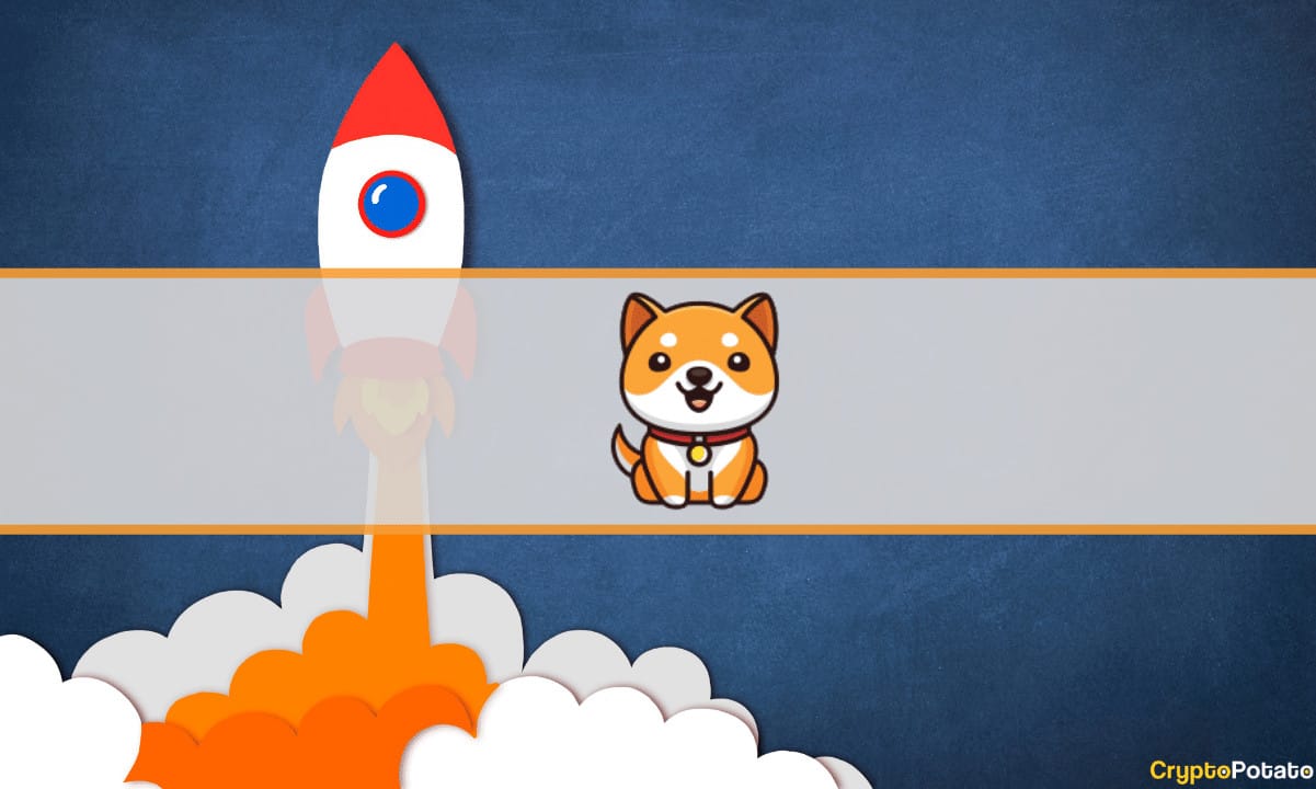 Baby-doge-skyrocketed-35%-following-a-huobi-listing