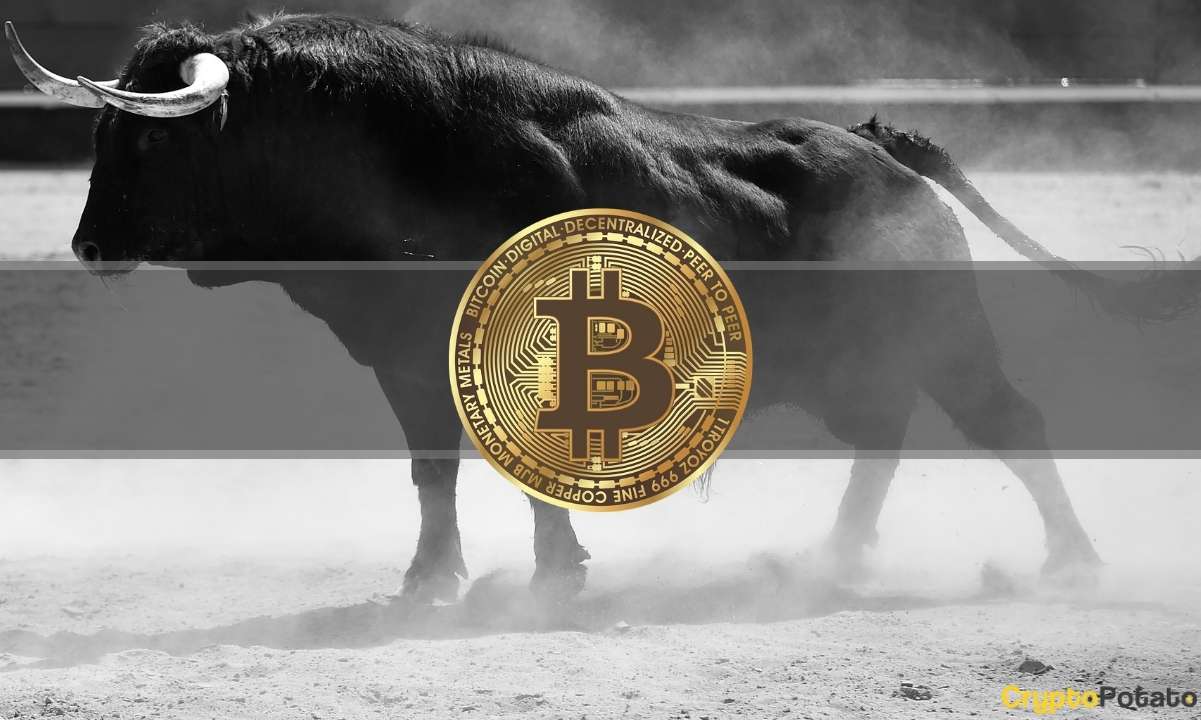 Crypto-markets-add-$130-billion-overnight,-bitcoin-skyrockets-to-$42k-(market-watch)