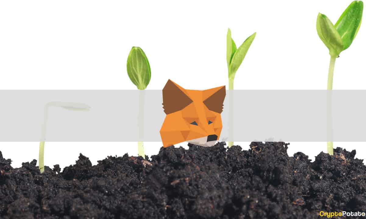 Metamask-token-confirmed,-dao-in-the-plans
