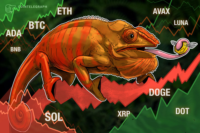 Price-analysis-4/4:-btc,-eth,-bnb,-sol,-xrp,-ada,-luna,-avax,-dot,-doge