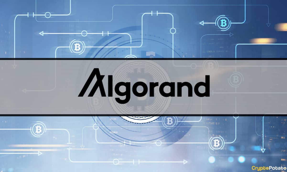 Flare-network-receives-grant-to-connect-bitcoin-with-algorand