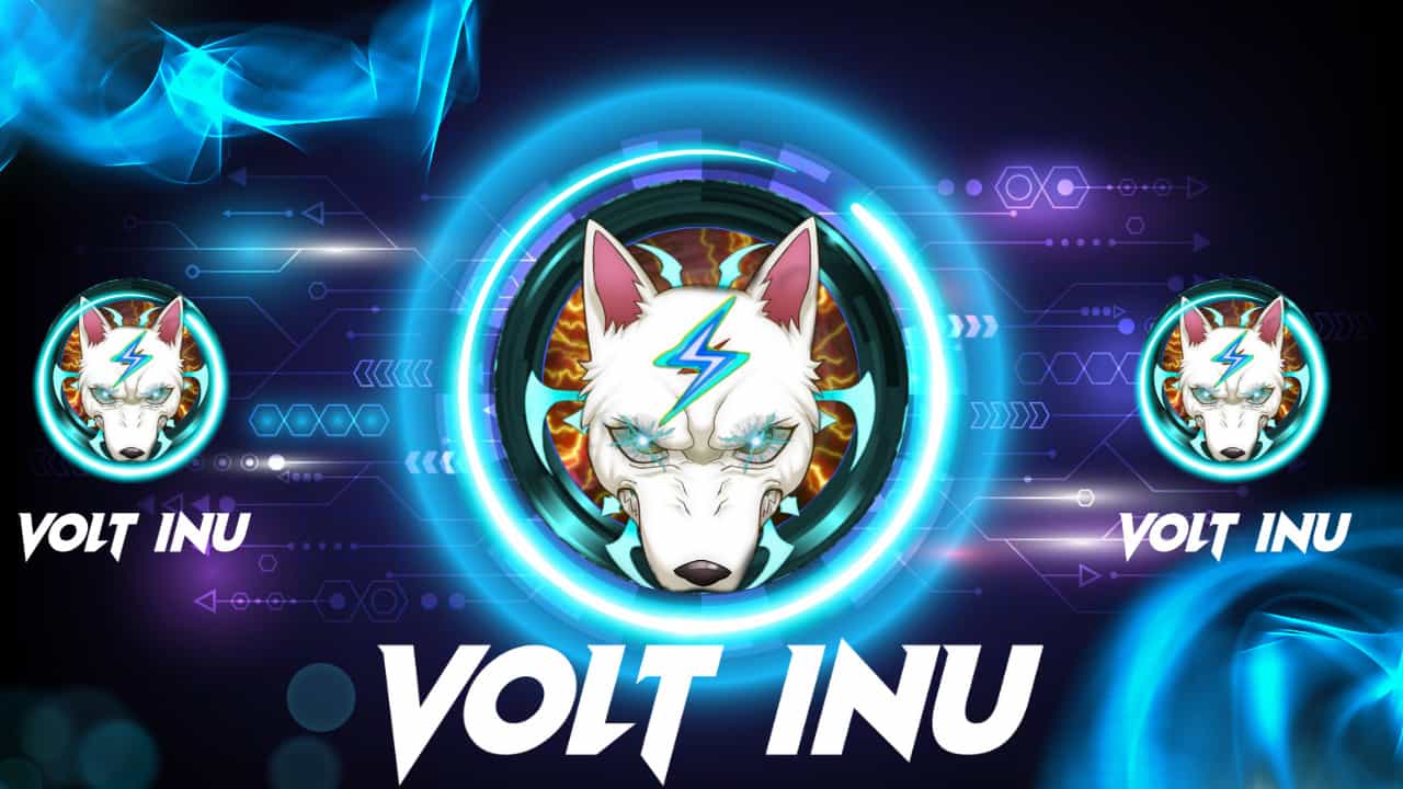 Volt-inu-announces-exciting-developments-for-its-project
