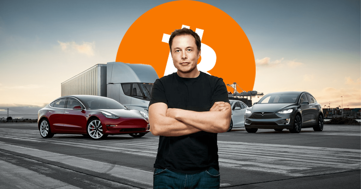 Bitcoin-is-‘a-liquid-alternative-to-cash’-says-elon-musk’s-tesla