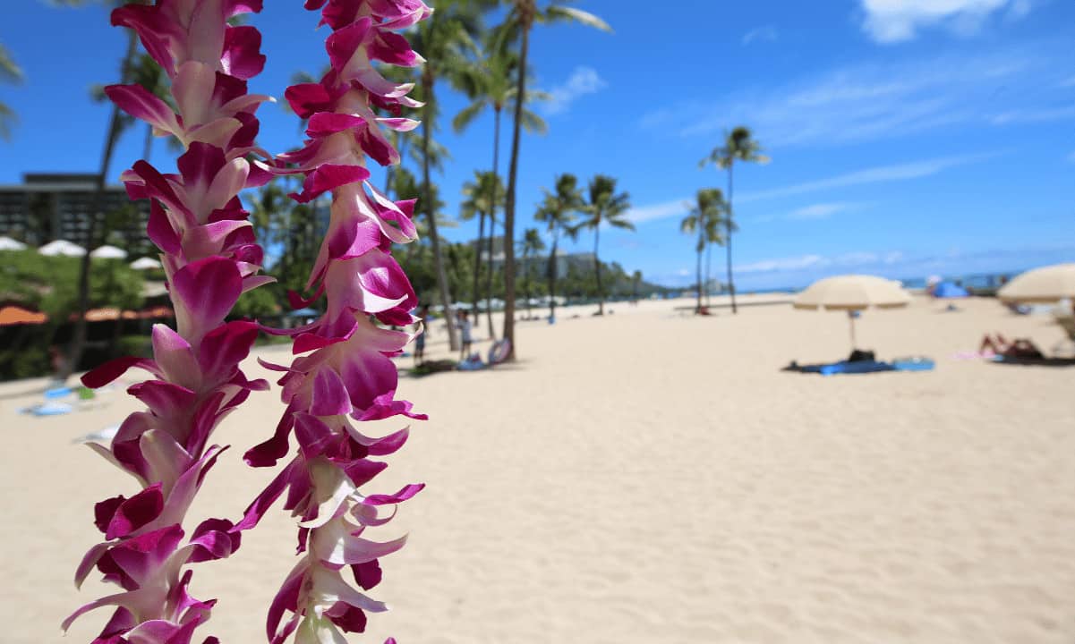 Hawaii-to-launch-a-task-force-focused-on-crypto-regulations