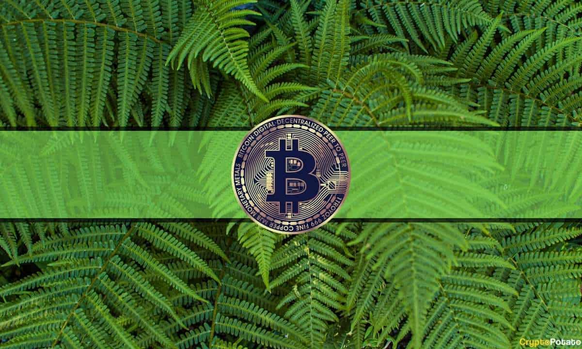 Green-market-watch:-bitcoin-rebounds-$5k,-cardano-and-polkadot-recover-25%