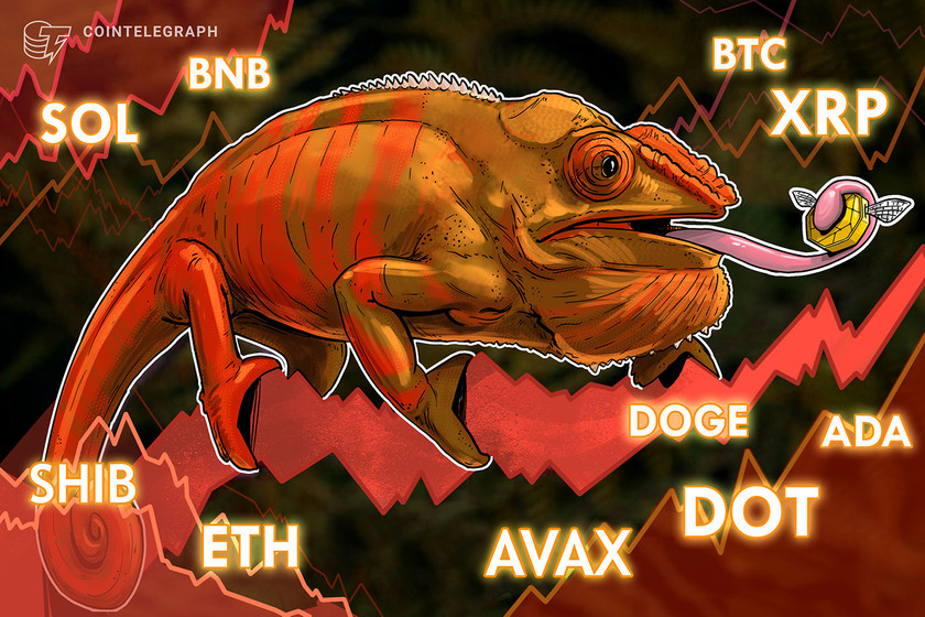 Price-analysis-5/13:-btc,-eth,-bnb,-xrp,-ada,-sol,-doge,-dot,-avax,-shib