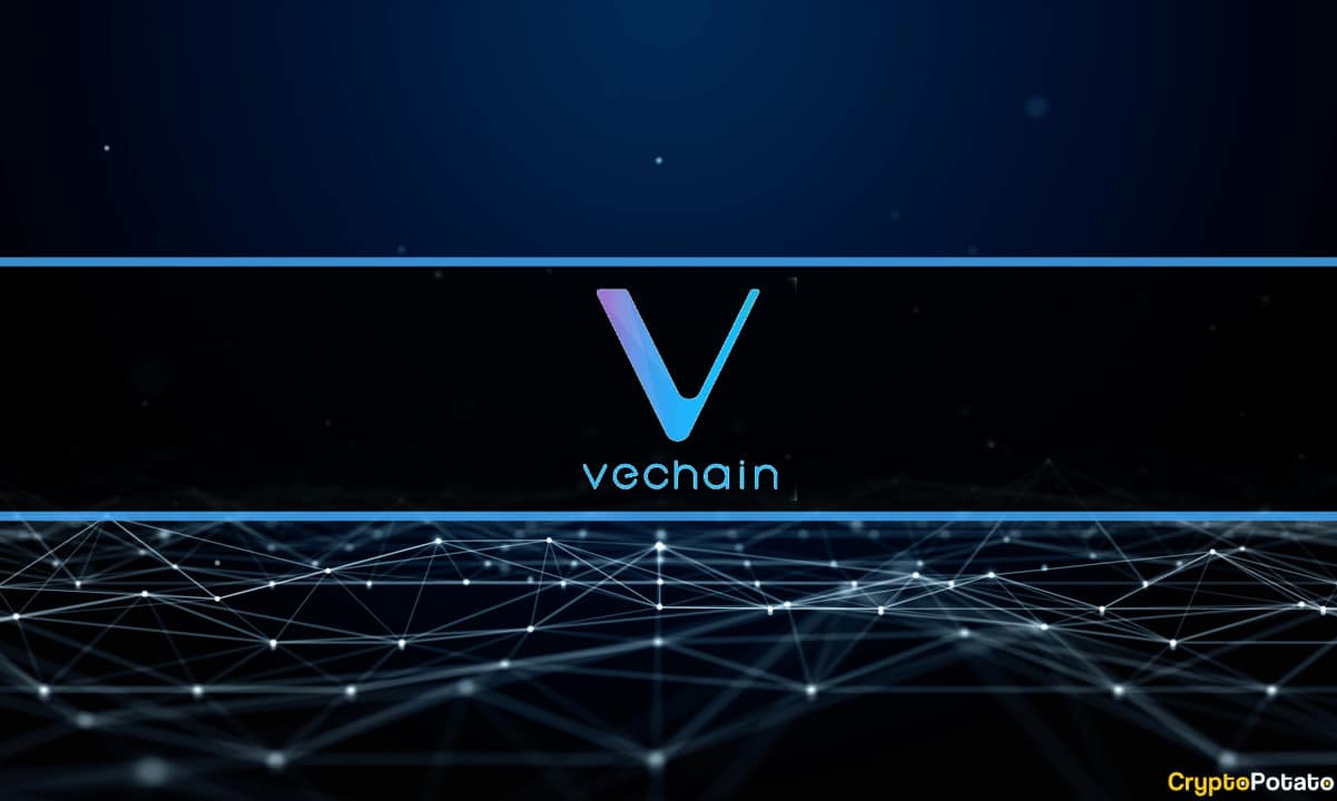 Vechain-treasury-held-$1.2b-in-crypto,-q1-report-states