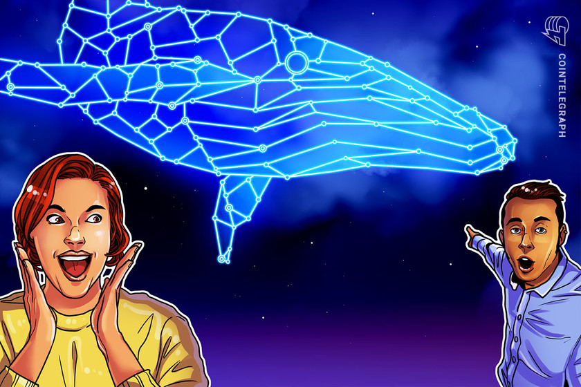 Daos,-dexs-and-whales?-how-web3-organizations-became-the-new-crypto-beasts