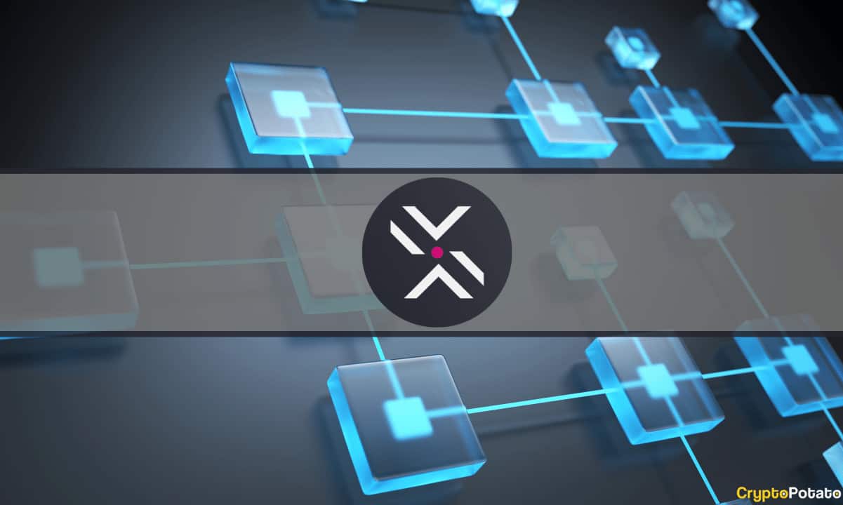 Polkadex-locks-in-polkadot-parachain-slot-by-allocating-nearly-1-million-dot