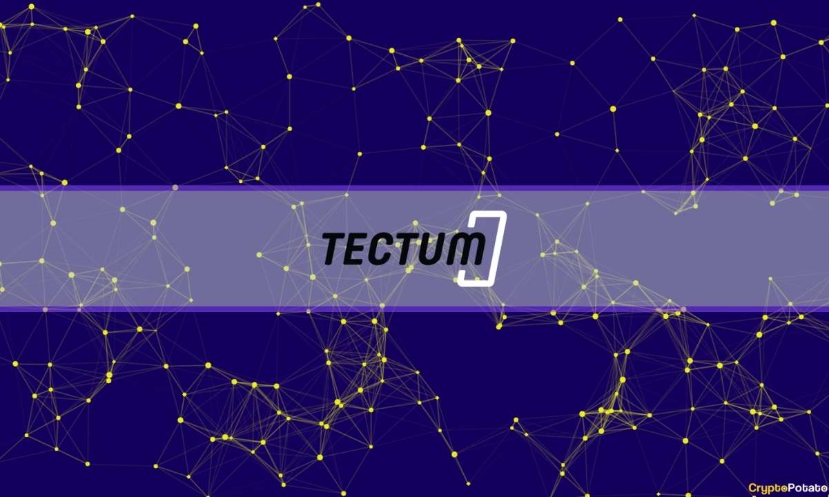 What-is-tectum?-this-is-everything-you-need-to-know