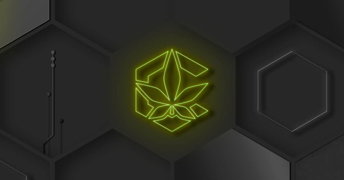 Cannumi-merges-cbd-with-blockchain-after-years-of-experience-in-the-cannabis-market