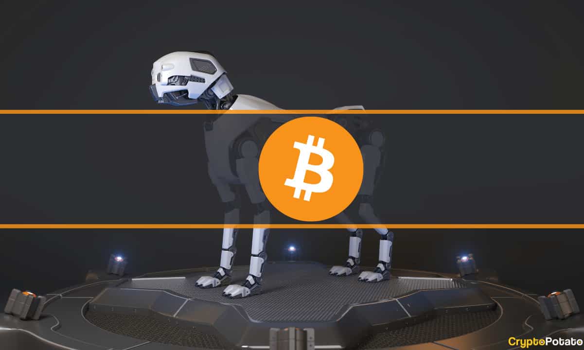 This-desperate-man-plans-build-robot-dogs-to-find-a-hard-drive-with-$169m-worth-of-btc-(report)