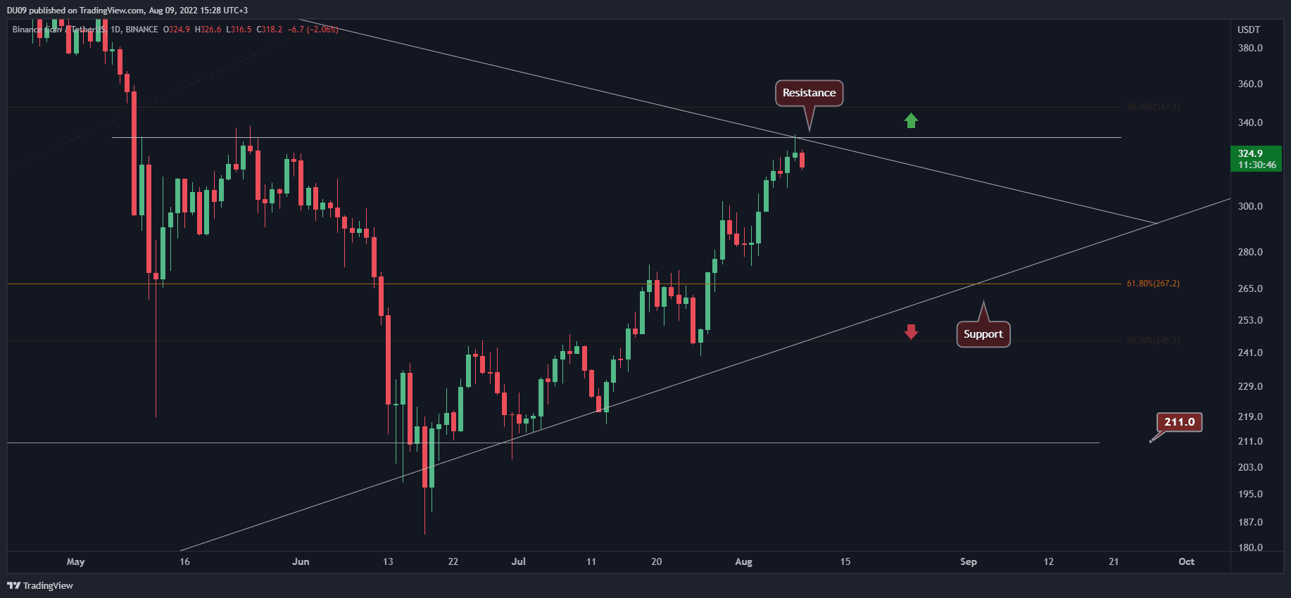 Bnb-pulls-back-at-a-critical-resistance,-is-$300-incoming?-(binance-coin-price-analysis)