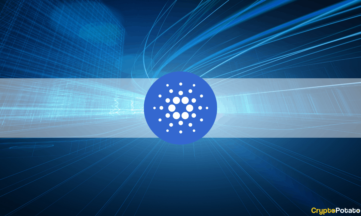 Cardano-aggressively-priced-ahead-of-vasil,-claims-messari’s-report