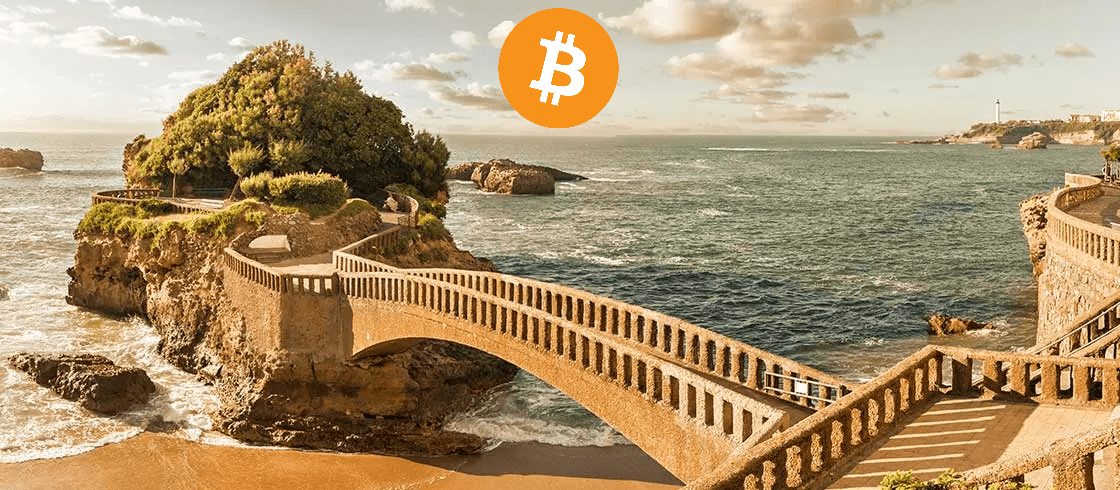 Surfing-bitcoin-maximalism