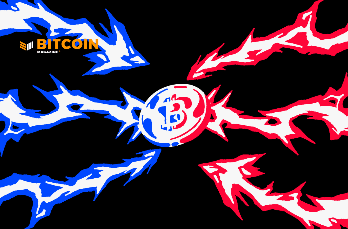 Widespread-bitcoin-adoption,-digital-freedom-can-only-happen-through-lightning