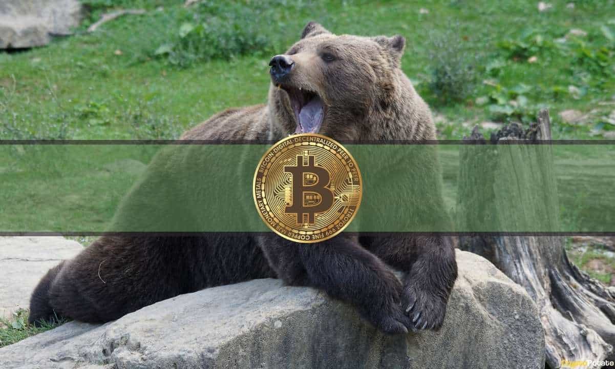 Two-reasons-bitcoin’s-bear-market-is-far-from-over:-analysis