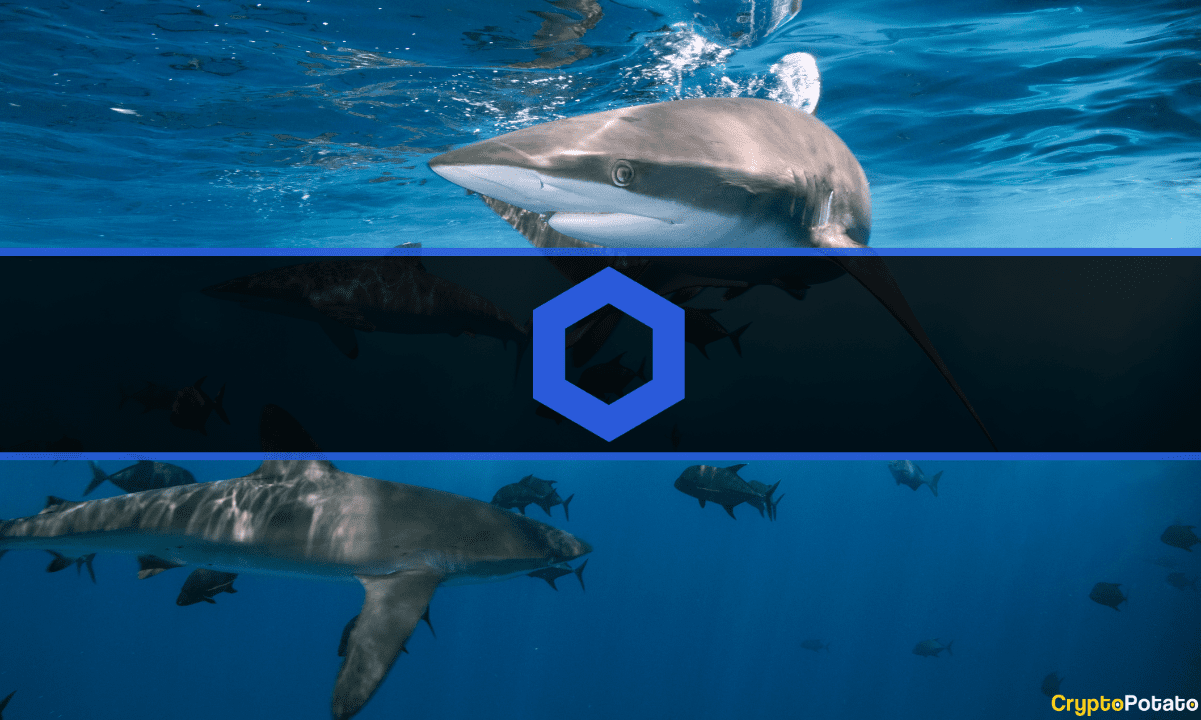 Chainlink-sharks-and-whales-add-$313m-worth-of-link-in-six-months