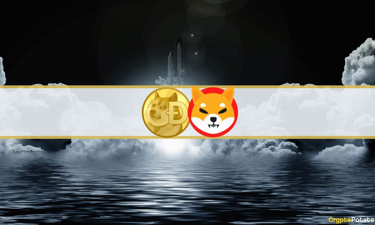 Memecoin-madness:-dogecoin-soars-25%,-shiba-inu-up-8%-(market-watch)