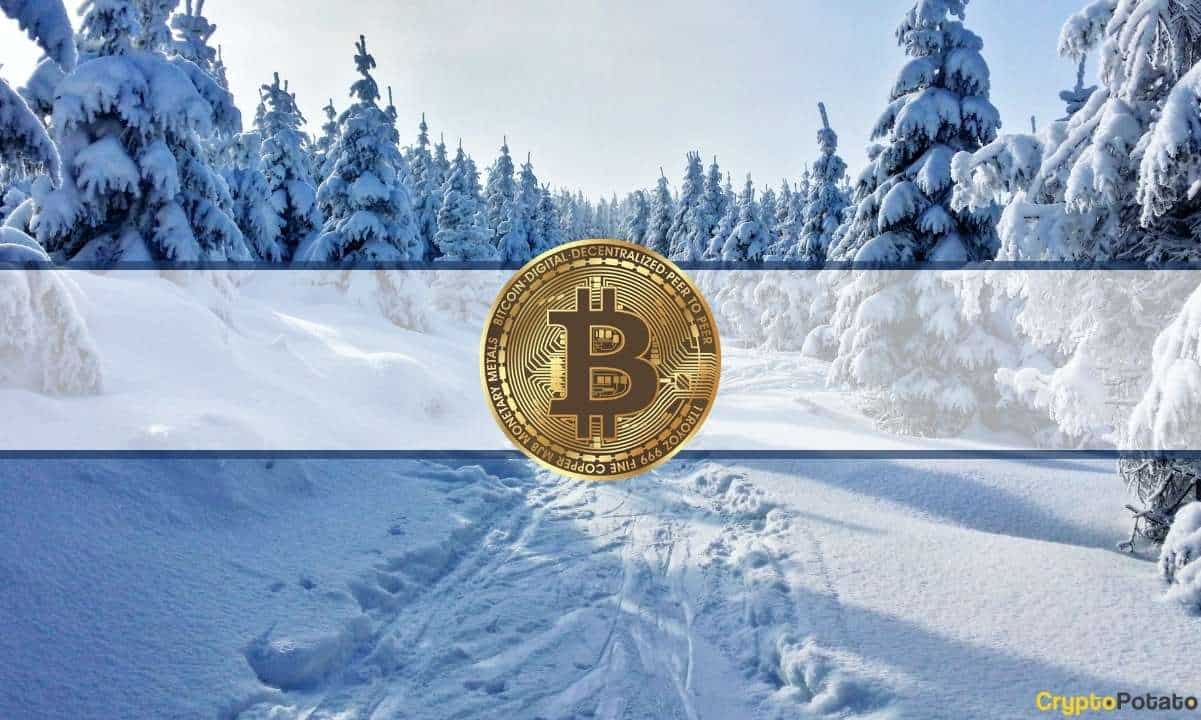 Crypto-winter-only-getting-worse-but-there’s-a-positive:-tezos-ceo