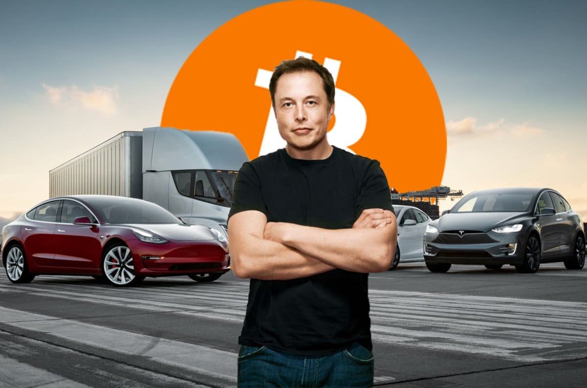 Elon-musk:-bitcoin-will-survive-the-crypto-winter