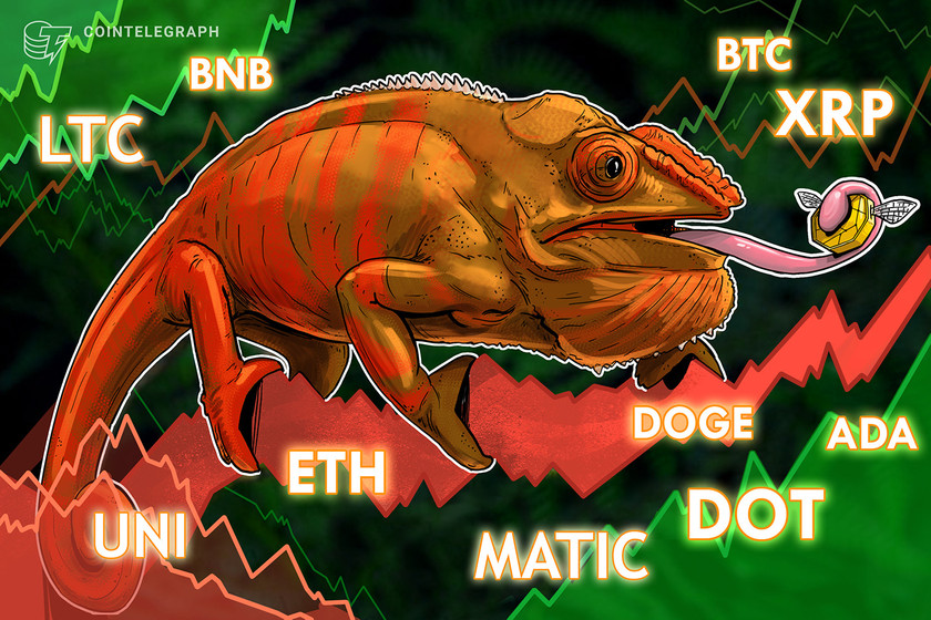 Price-analysis-11/18:-btc,-eth,-bnb,-xrp,-ada,-doge,-matic,-dot,-uni,-ltc