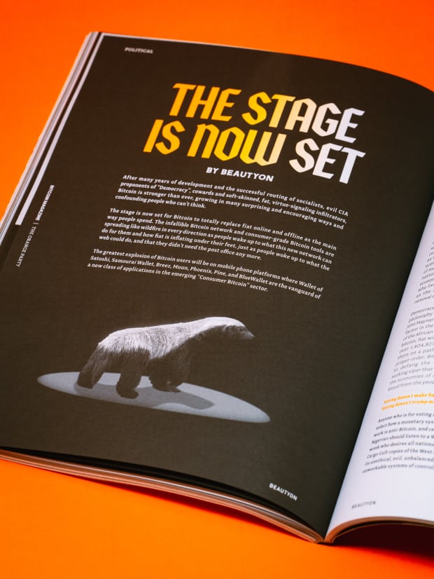 The-stage-is-now-set:-bitcoin-will-replace-fiat