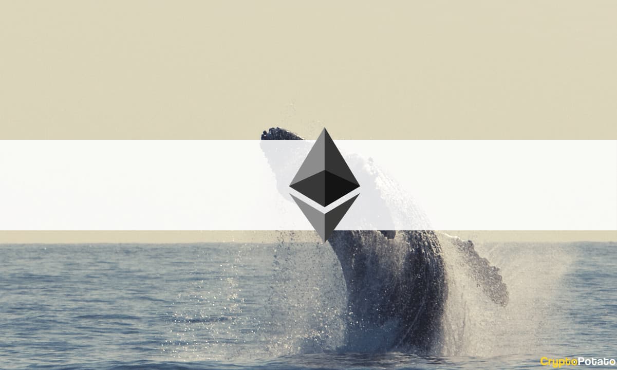 For-the-first-time-in-four-years,-these-ethereum-whales-transfer-over-$27m-worth-of-eth