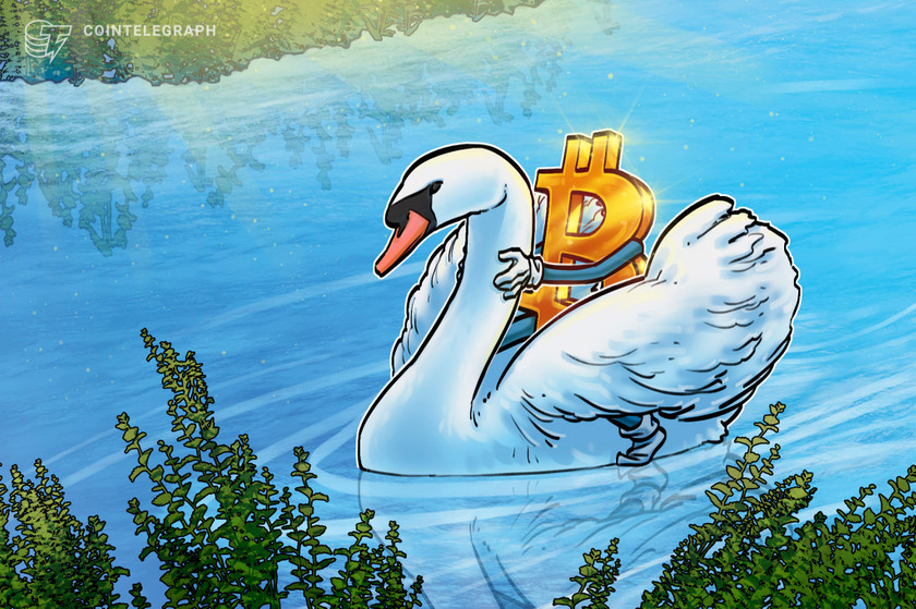 What-is-swan-bitcoin-and-how-does-it-work?