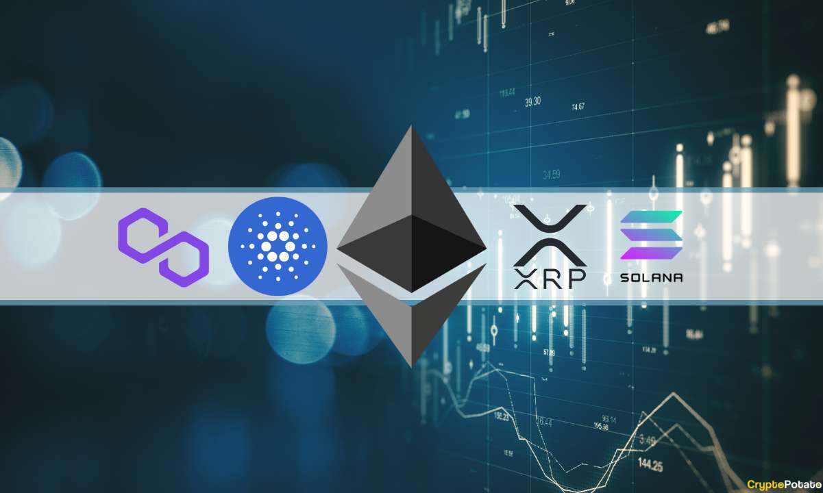 Crypto-price-analysis-dec-30:-eth,-xrp,-ada,-matic-and-sol