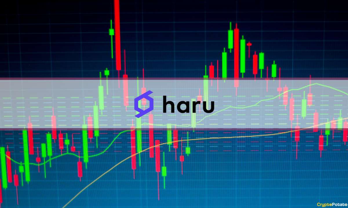 Automating-cryptocurrency-trading-with-haru-invest