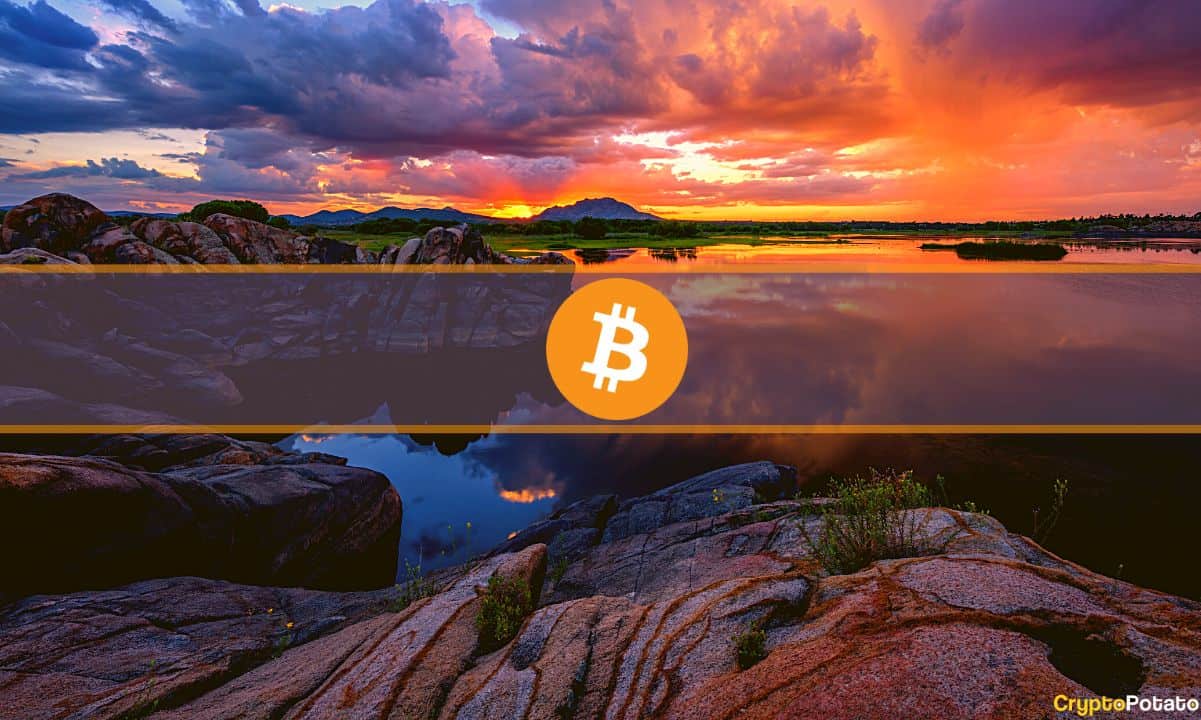 Bitcoin-price-fully-recovers-from-ftx-crash:-market-watch