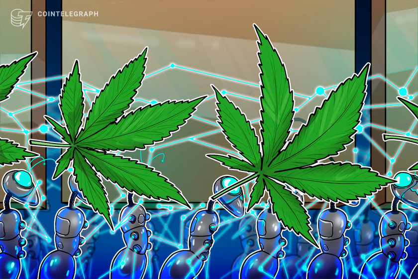 California-cannabis-producer-adopts-blockchain-to-track-its-weed