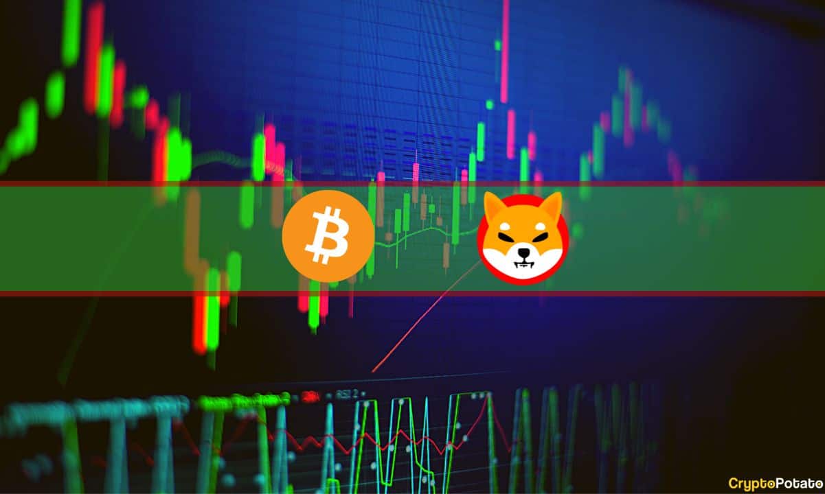 Market-watch:-shiba-inu-skyrockets-16%,-bitcoin-tapped-3-month-high