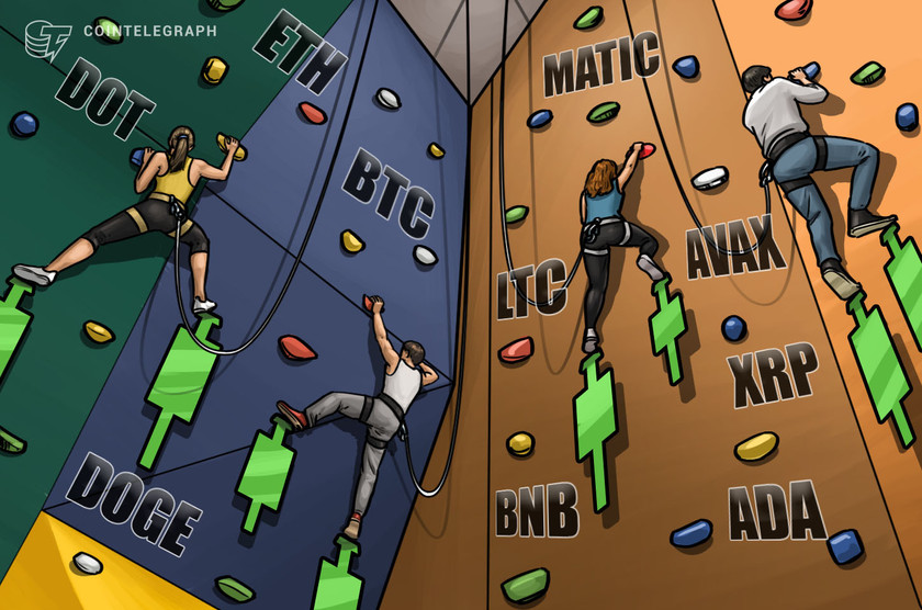 Price-analysis-1/18:-btc,-eth,-bnb,-xrp,-ada,-doge,-matic,-dot,-ltc,-avax