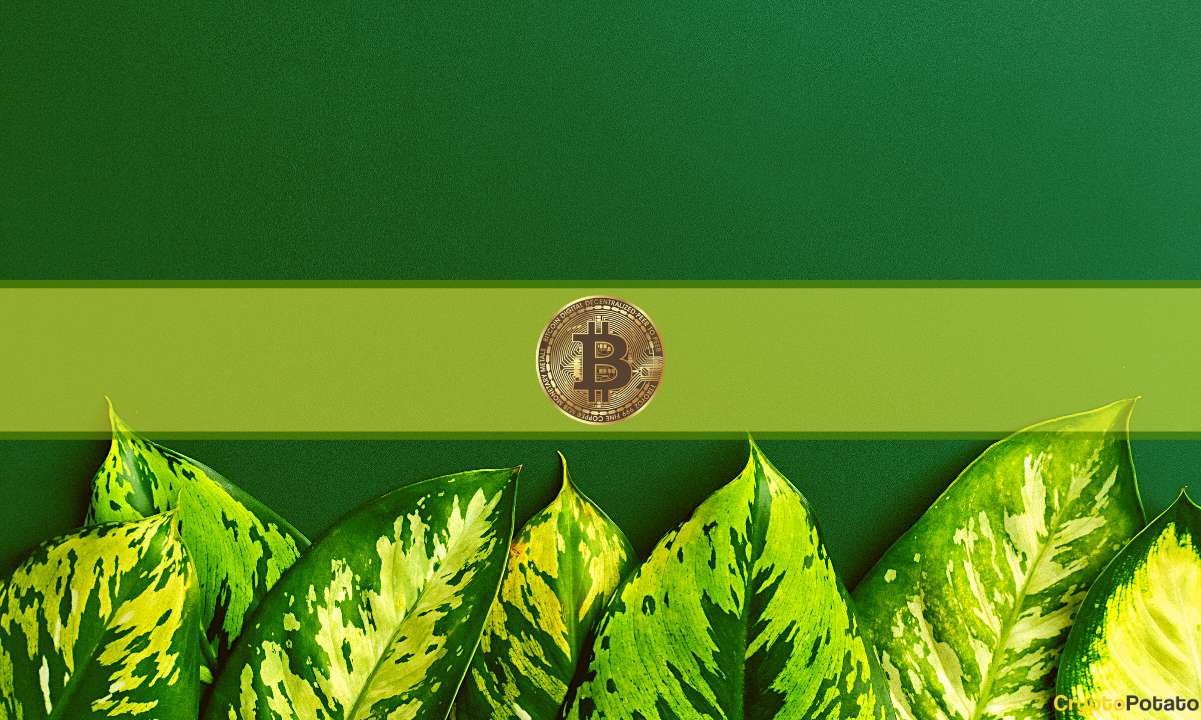 Bitcoin-gains-another-12%-weekly,-altcoins-lag-behind,-genesis-files-for-bankruptcy:-the-weekly-recap