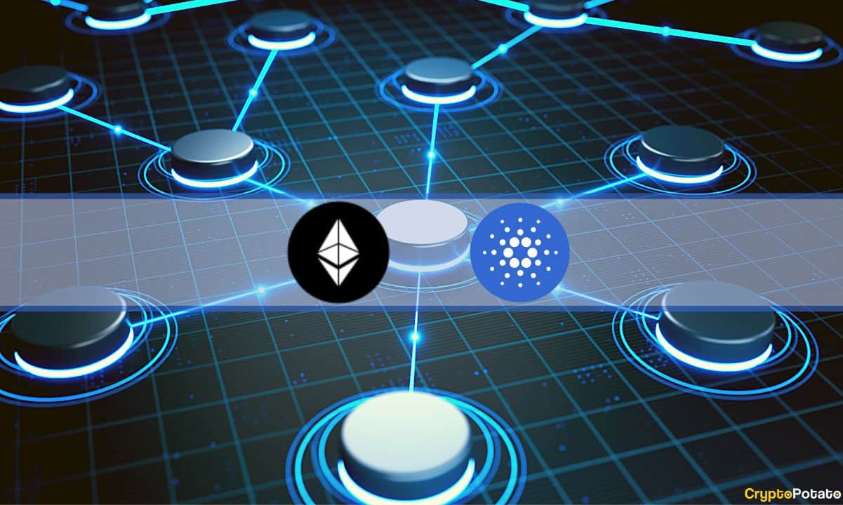 Ethereum-and-cardano-record-highest-level-of-developer-activity-in-2022:-dappradar