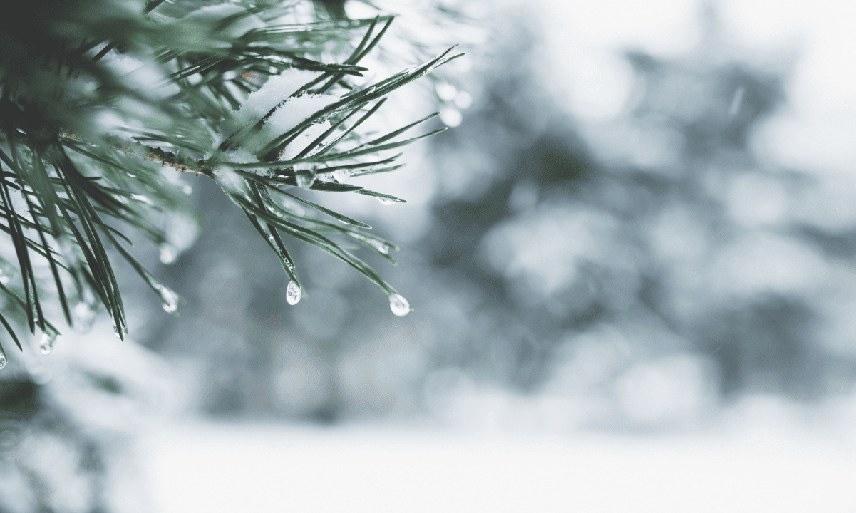 69%-of-retail-investors-unfazed-by-2022-crypto-winter:-survey