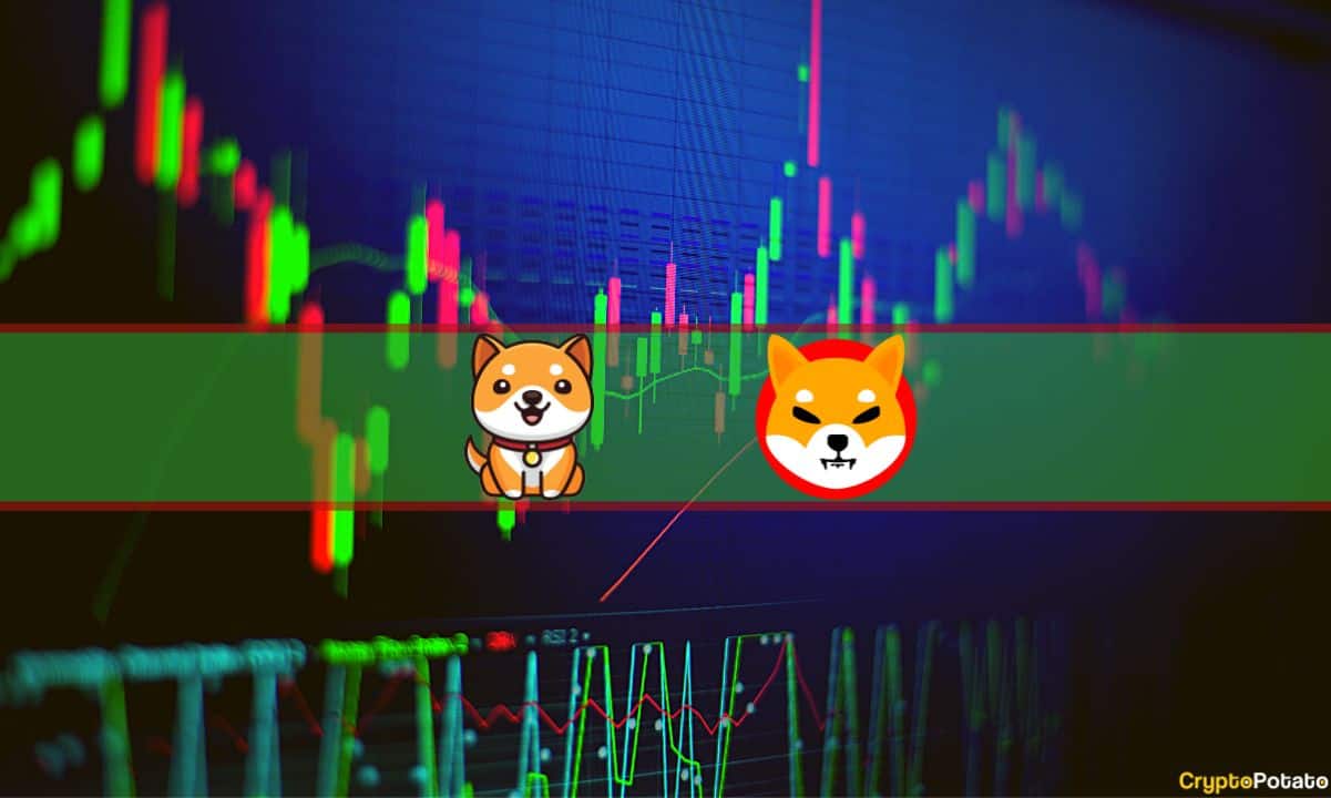 Memecoins-explode-weekly:-babydoge-soars-150%,-shib-up-28%-(weekend-watch)