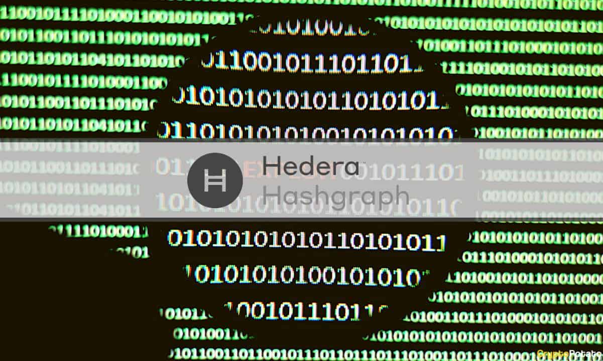 Hedera-exploit:-attackers-target-smart-contract-service-code