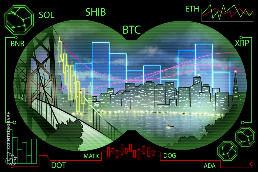 Price-analysis-3/17:-btc,-eth,-bnb,-xrp,-ada,-doge,-matic,-sol,-dot,-shib