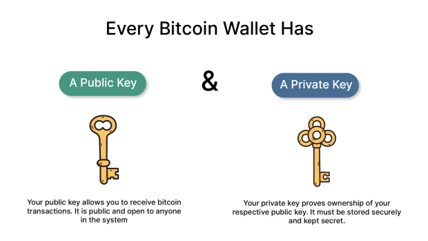 What-is-a-wallet?-guide-to-storing-bitcoin