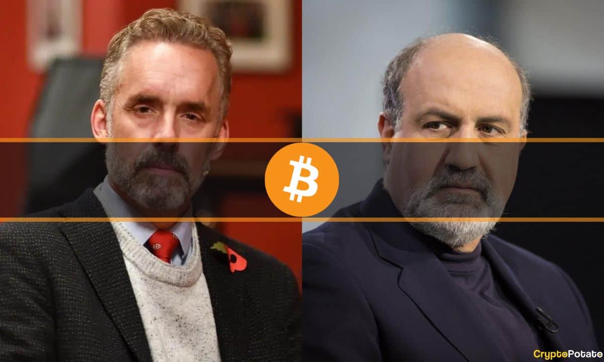 Black-swan-author-and-jordan-peterson-clash-over-bitcoin