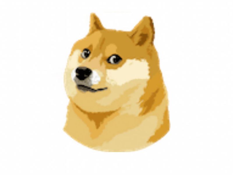 Dogecoin-surges-more-than-30%-after-token’s-symbol-replaces-blue-bird-as-twitter-logo